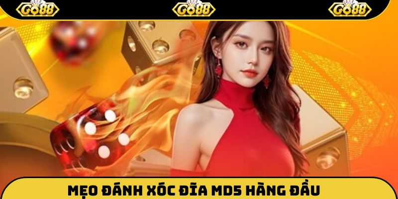Bí quyết chơi game xóc đĩa MD5